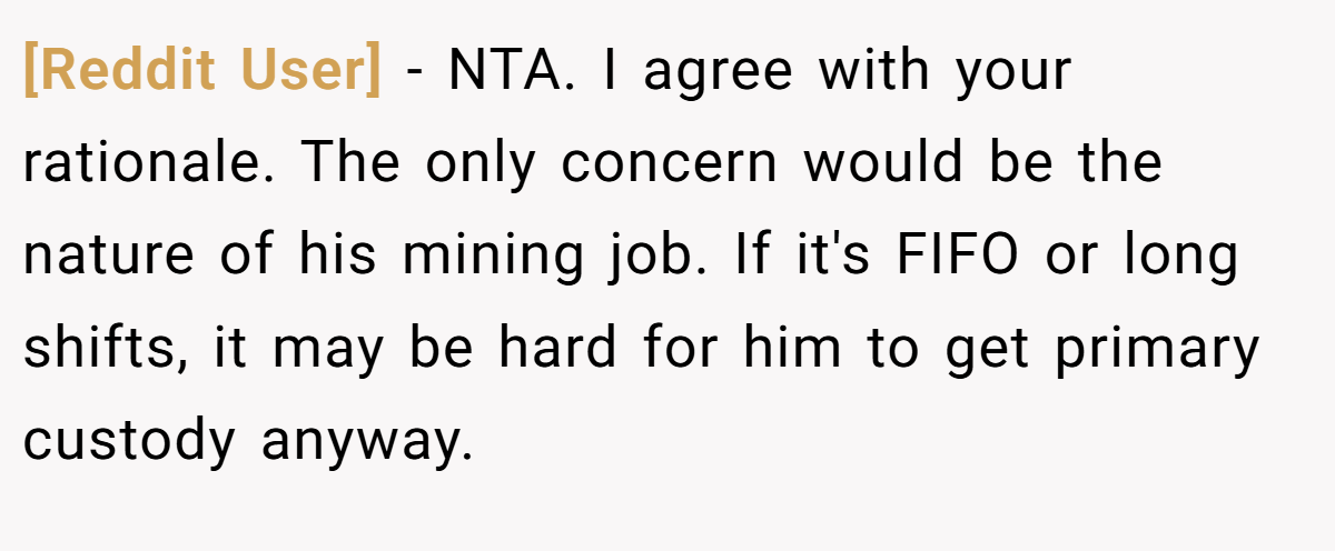 [Reddit User] − NTA. I agree with your rationale. The only concern would be the nature of his mining job. If it's FIFO or long shifts, it may be hard for him to get primary custody anyway.