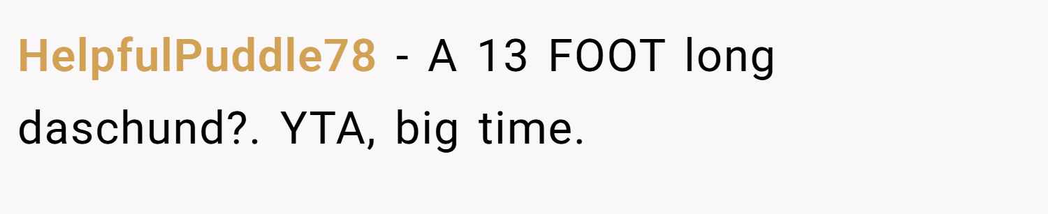 HelpfulPuddle78 − A 13 FOOT long daschund?. YTA, big time.