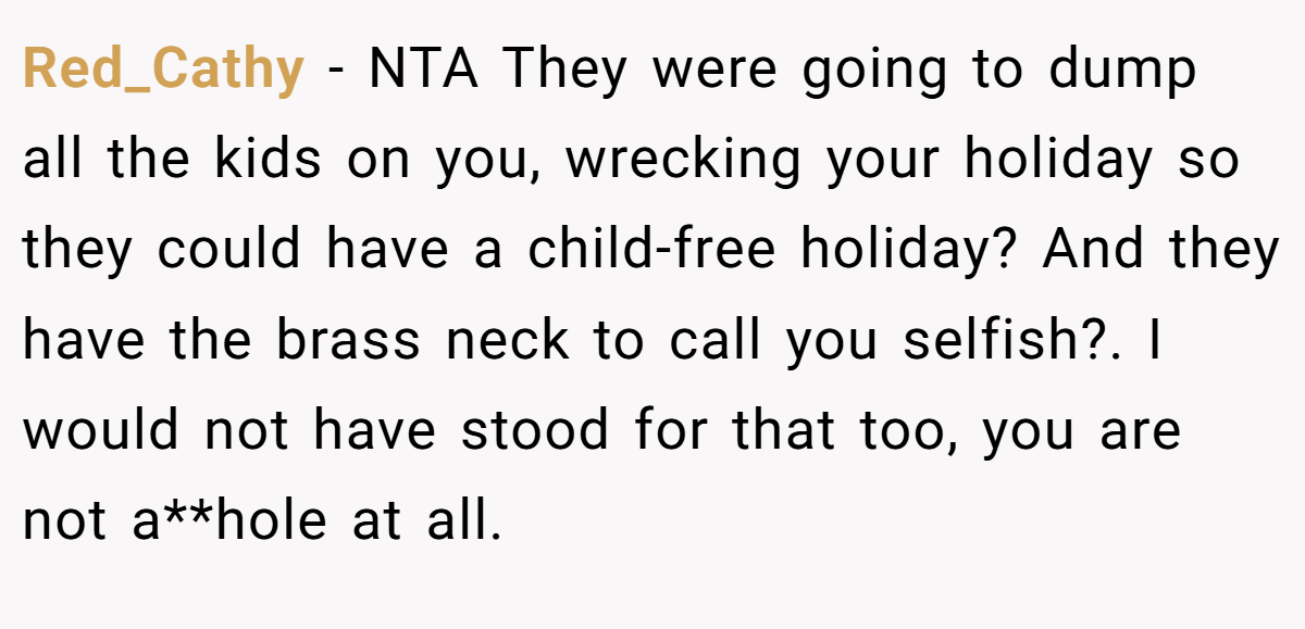 Red_Cathy − NTA They were going to dump all the kids on you, wrecking your holiday so they could have a child-free holiday? And they have the brass neck to call you selfish?. I would not have stood for that too, you are not a**hole at all.
