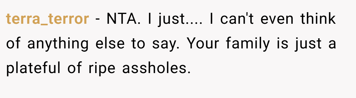 terra_terror − NTA. I just.... I can't even think of anything else to say. Your family is just a plateful of ripe assholes.