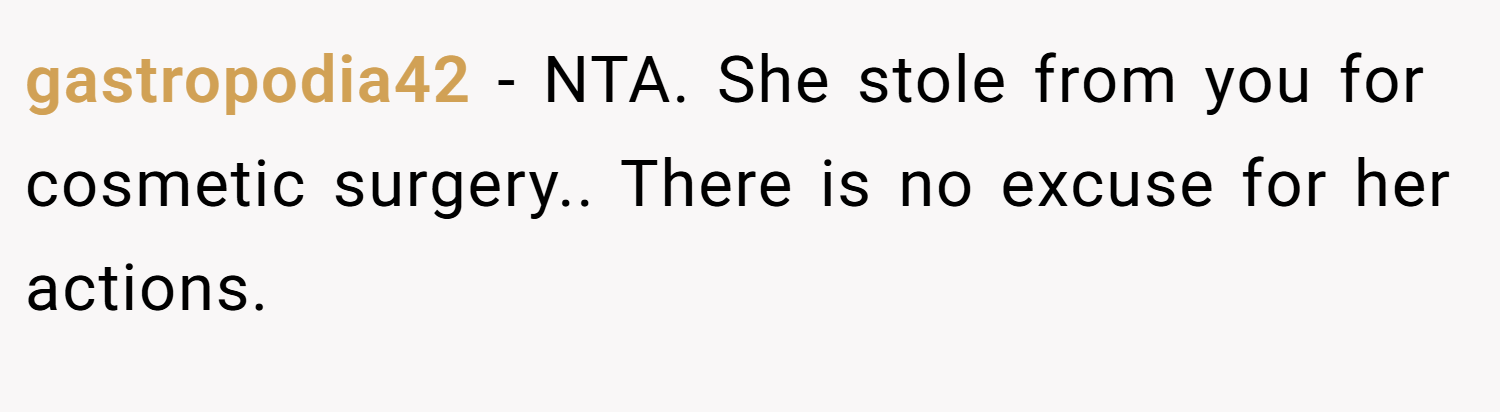 gastropodia42 − NTA. She stole from you for cosmetic surgery.. There is no excuse for her actions.