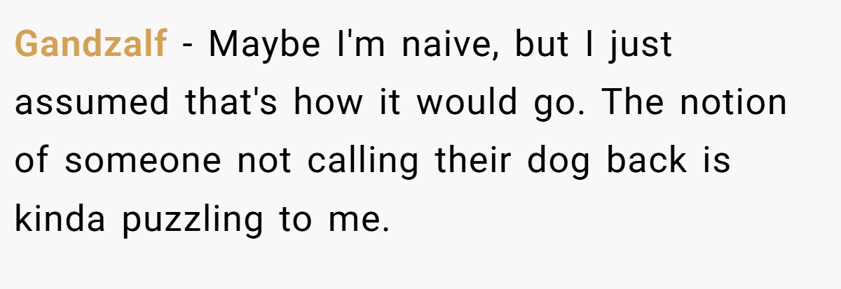 Gandzalf − Maybe I'm naive, but I just assumed that's how it would go. The notion of someone not calling their dog back is kinda puzzling to me.