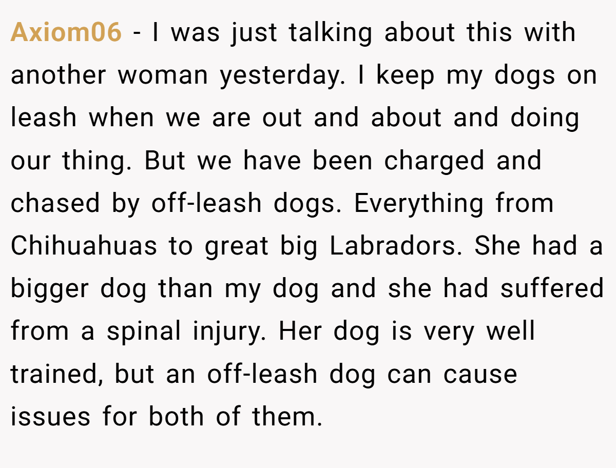 Axiom06 − I was just talking about this with another woman yesterday. I keep my dogs on leash when we are out and about and doing our thing. But we have been charged and chased by off-leash dogs. Everything from Chihuahuas to great big Labradors. She had a bigger dog than my dog and she had suffered from a spinal injury. Her dog is very well trained, but an off-leash dog can cause issues for both of them.