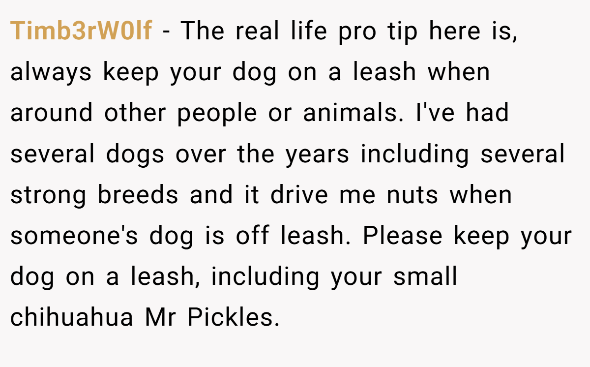 Timb3rW0lf − The real life pro tip here is, always keep your dog on a leash when around other people or animals. I've had several dogs over the years including several strong breeds and it drive me nuts when someone's dog is off leash. Please keep your dog on a leash, including your small chihuahua Mr Pickles.