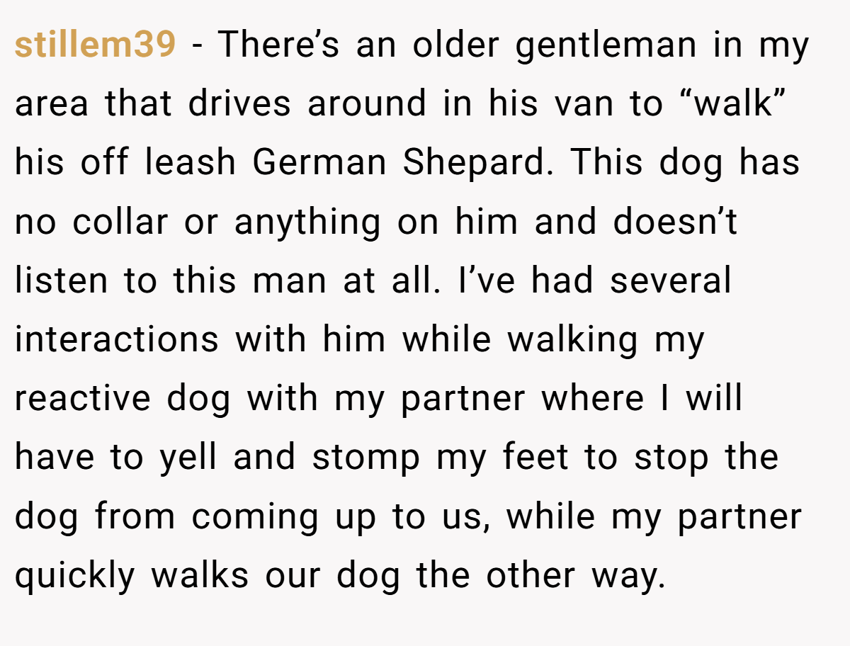 stillem39 − There’s an older gentleman in my area that drives around in his van to “walk” his off leash German Shepard. This dog has no collar or anything on him and doesn’t listen to this man at all. I’ve had several interactions with him while walking my reactive dog with my partner where I will have to yell and stomp my feet to stop the dog from coming up to us, while my partner quickly walks our dog the other way.
