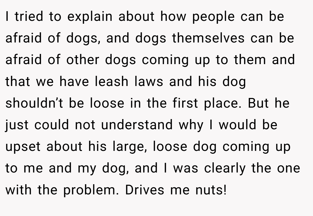 I tried to explain about how people can be afraid of dogs, and dogs themselves can be afraid of other dogs coming up to them and that we have leash laws and his dog shouldn’t be loose in the first place. But he just could not understand why I would be upset about his large, loose dog coming up to me and my dog, and I was clearly the one with the problem. Drives me nuts!