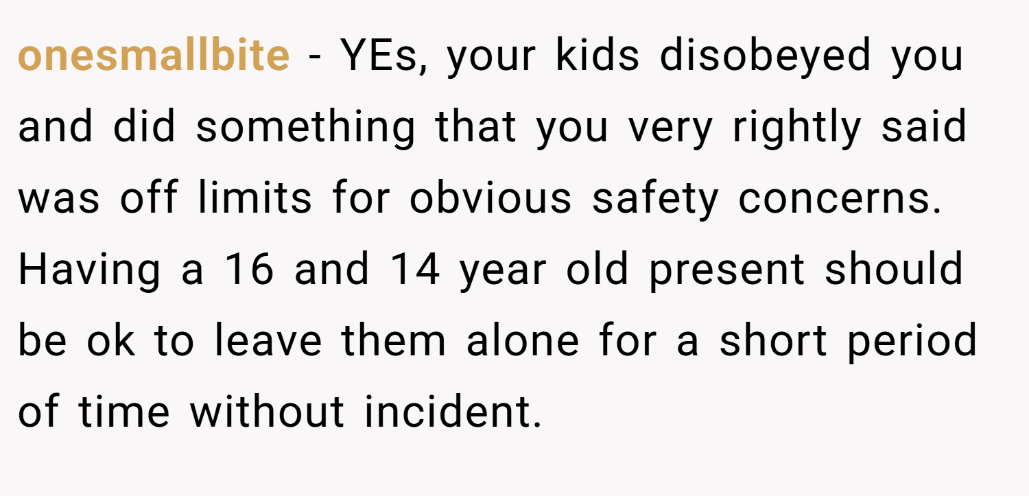 onesmallbite − YEs, your kids disobeyed you and did something that you very rightly said was off limits for obvious safety concerns. Having a 16 and 14 year old present should be ok to leave them alone for a short period of time without incident.
