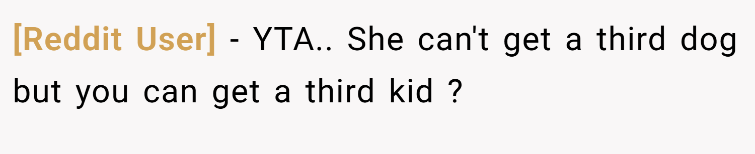[Reddit User] − YTA.. She can't get a third dog but you can get a third kid ?