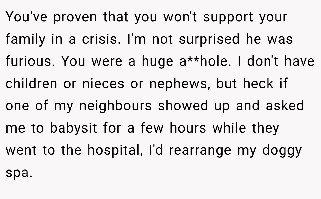You've proven that you won't support your family in a crisis. I'm not surprised he was furious. You were a huge a**hole. I don't have children or nieces or nephews, but heck if one of my neighbours showed up and asked me to babysit for a few hours while they went to the hospital, I'd rearrange my doggy spa.
