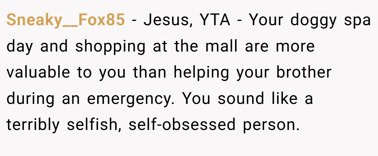 Sneaky__Fox85 − Jesus, YTA - Your doggy spa day and shopping at the mall are more valuable to you than helping your brother during an emergency. You sound like a terribly selfish, self-obsessed person.