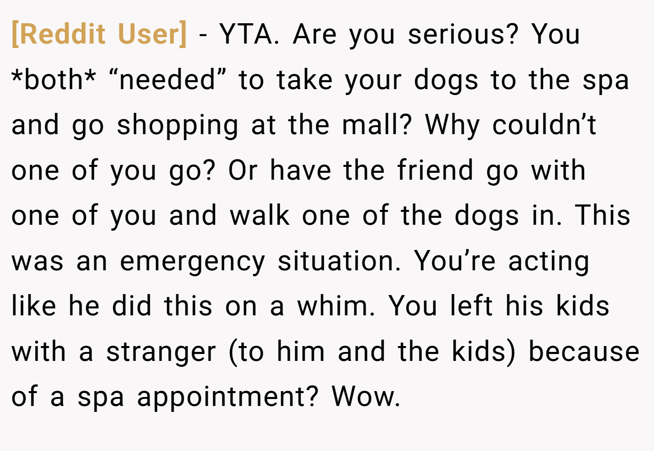 [Reddit User] − YTA. Are you serious? You *both* “needed” to take your dogs to the spa and go shopping at the mall? Why couldn’t one of you go? Or have the friend go with one of you and walk one of the dogs in. This was an emergency situation. You’re acting like he did this on a whim. You left his kids with a stranger (to him and the kids) because of a spa appointment? Wow.