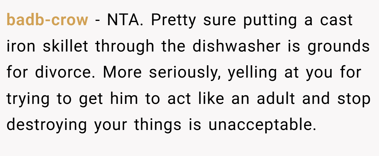 badb-crow − NTA. Pretty sure putting a cast iron skillet through the dishwasher is grounds for divorce. More seriously, yelling at you for trying to get him to act like an adult and stop destroying your things is unacceptable.