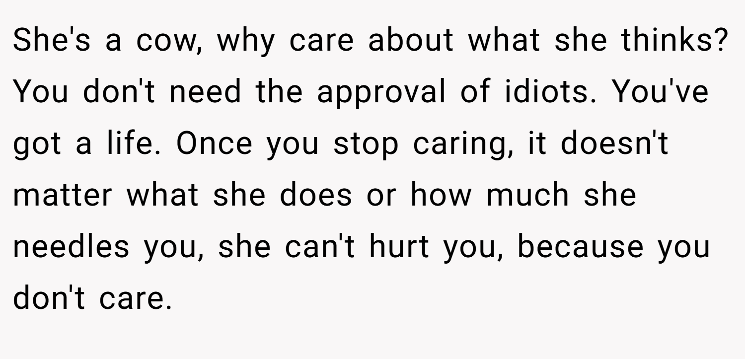 She's a cow, why care about what she thinks? You don't need the approval of idiots. You've got a life. Once you stop caring, it doesn't matter what she does or how much she needles you, she can't hurt you, because you don't care.