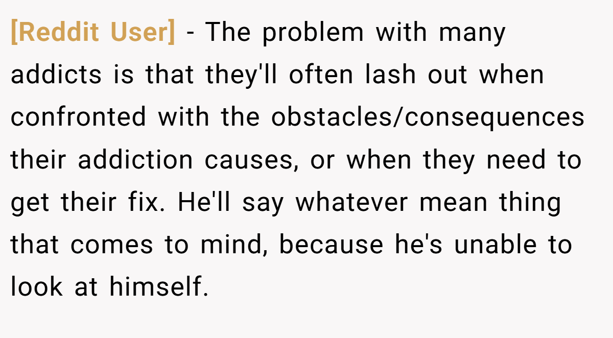 [Reddit User] − The problem with many addicts is that they'll often lash out when confronted with the obstacles/consequences their addiction causes, or when they need to get their fix. He'll say whatever mean thing that comes to mind, because he's unable to look at himself.