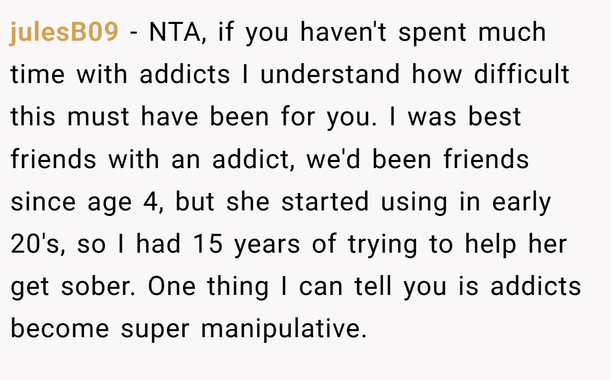julesB09 − NTA, if you haven't spent much time with addicts I understand how difficult this must have been for you. I was best friends with an addict, we'd been friends since age 4, but she started using in early 20's, so I had 15 years of trying to help her get sober. One thing I can tell you is addicts become super manipulative.