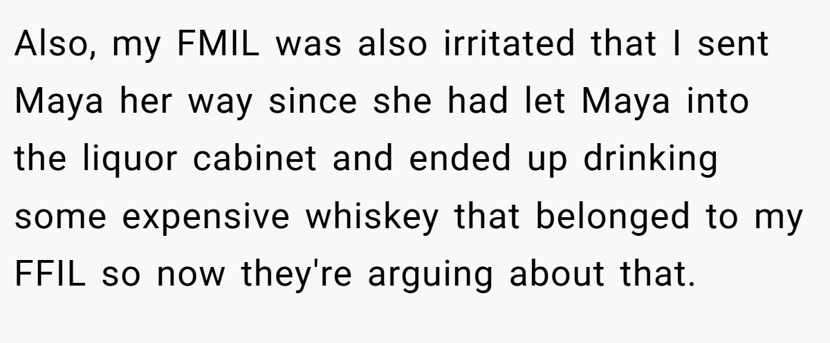 Also, my FMIL was also irritated that I sent Maya her way since she had let Maya into the liquor cabinet and ended up drinking some expensive whiskey that belonged to my FFIL so now they're arguing about that.