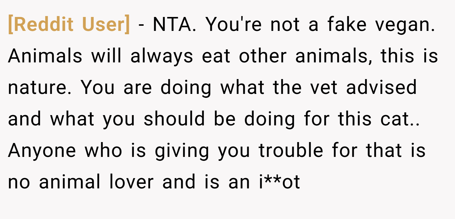[Reddit User] − NTA. You're not a fake vegan. Animals will always eat other animals, this is nature. You are doing what the vet advised and what you should be doing for this cat.. Anyone who is giving you trouble for that is no animal lover and is an i**ot