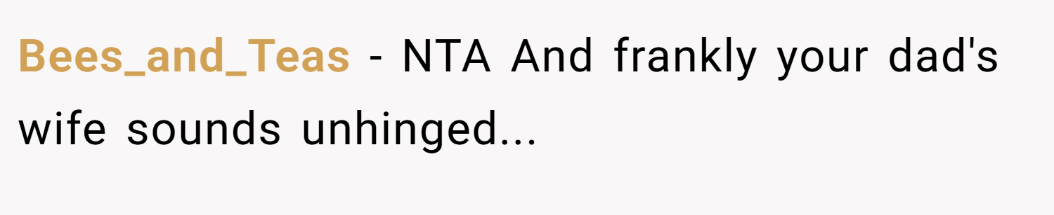 Bees_and_Teas − NTA And frankly your dad's wife sounds unhinged...