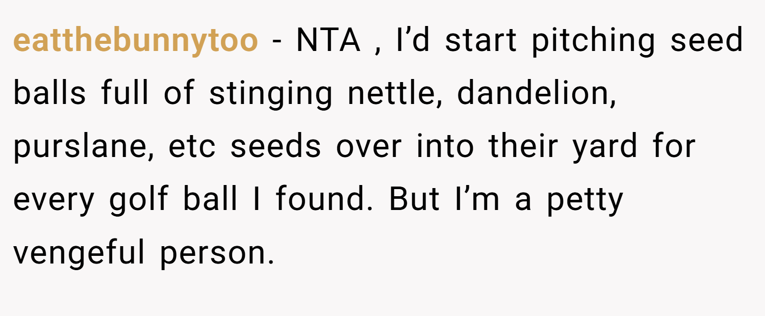 eatthebunnytoo − NTA , I’d start pitching seed balls full of stinging nettle, dandelion, purslane, etc seeds over into their yard for every golf ball I found. But I’m a petty vengeful person.