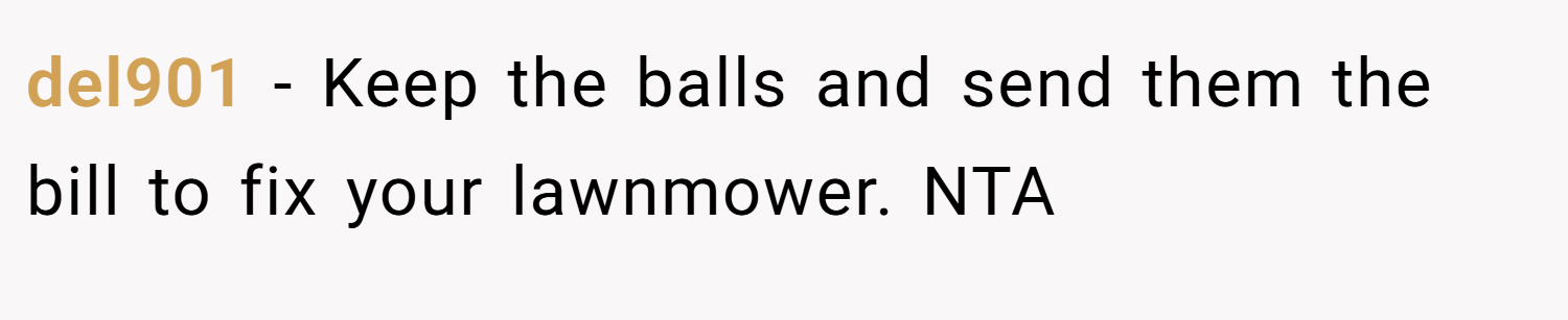 del901 − Keep the balls and send them the bill to fix your lawnmower. NTA