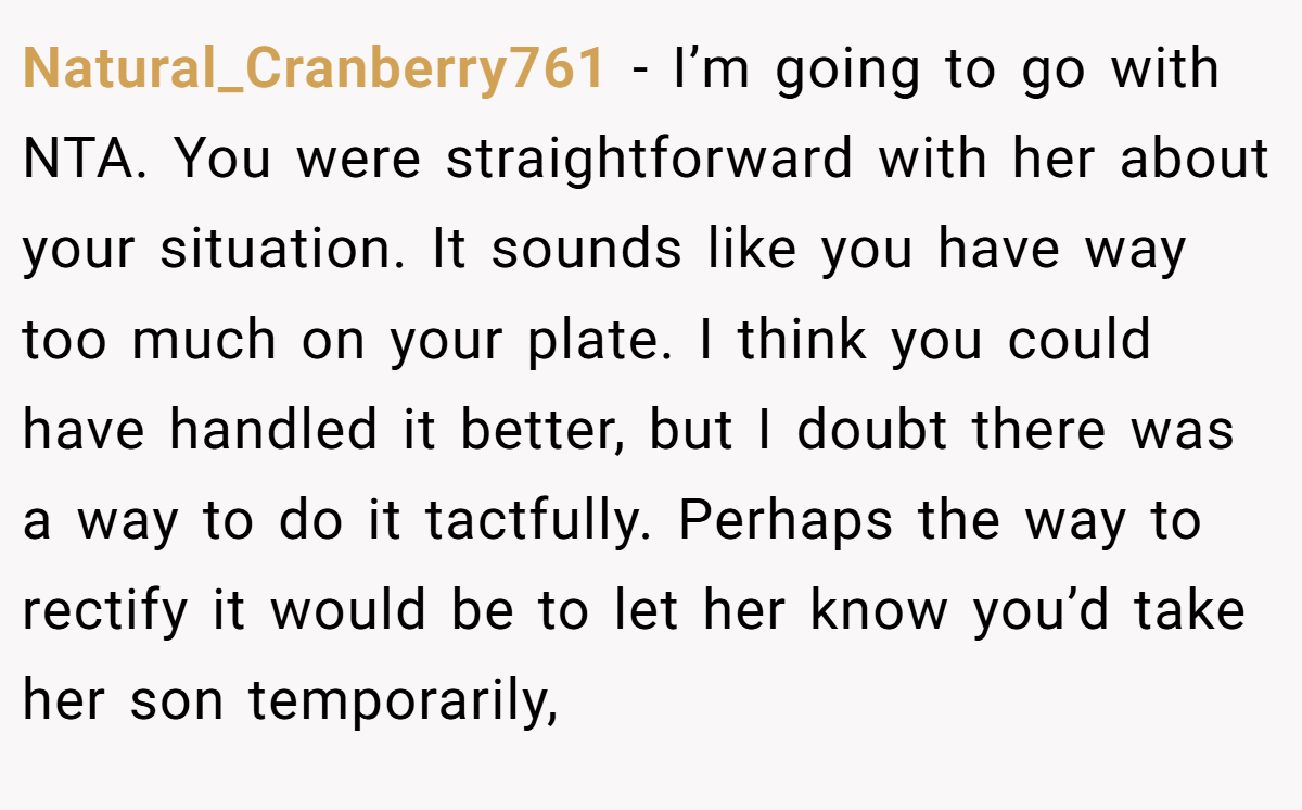 Natural_Cranberry761 − I’m going to go with NTA. You were straightforward with her about your situation. It sounds like you have way too much on your plate. I think you could have handled it better, but I doubt there was a way to do it tactfully. Perhaps the way to rectify it would be to let her know you’d take her son temporarily,