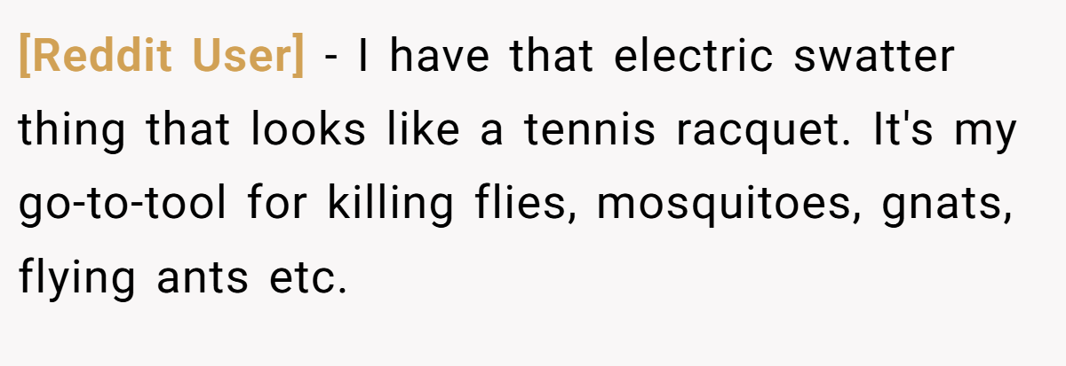 [Reddit User] − I have that electric swatter thing that looks like a tennis racquet. It's my go-to-tool for killing flies, mosquitoes, gnats, flying ants etc.