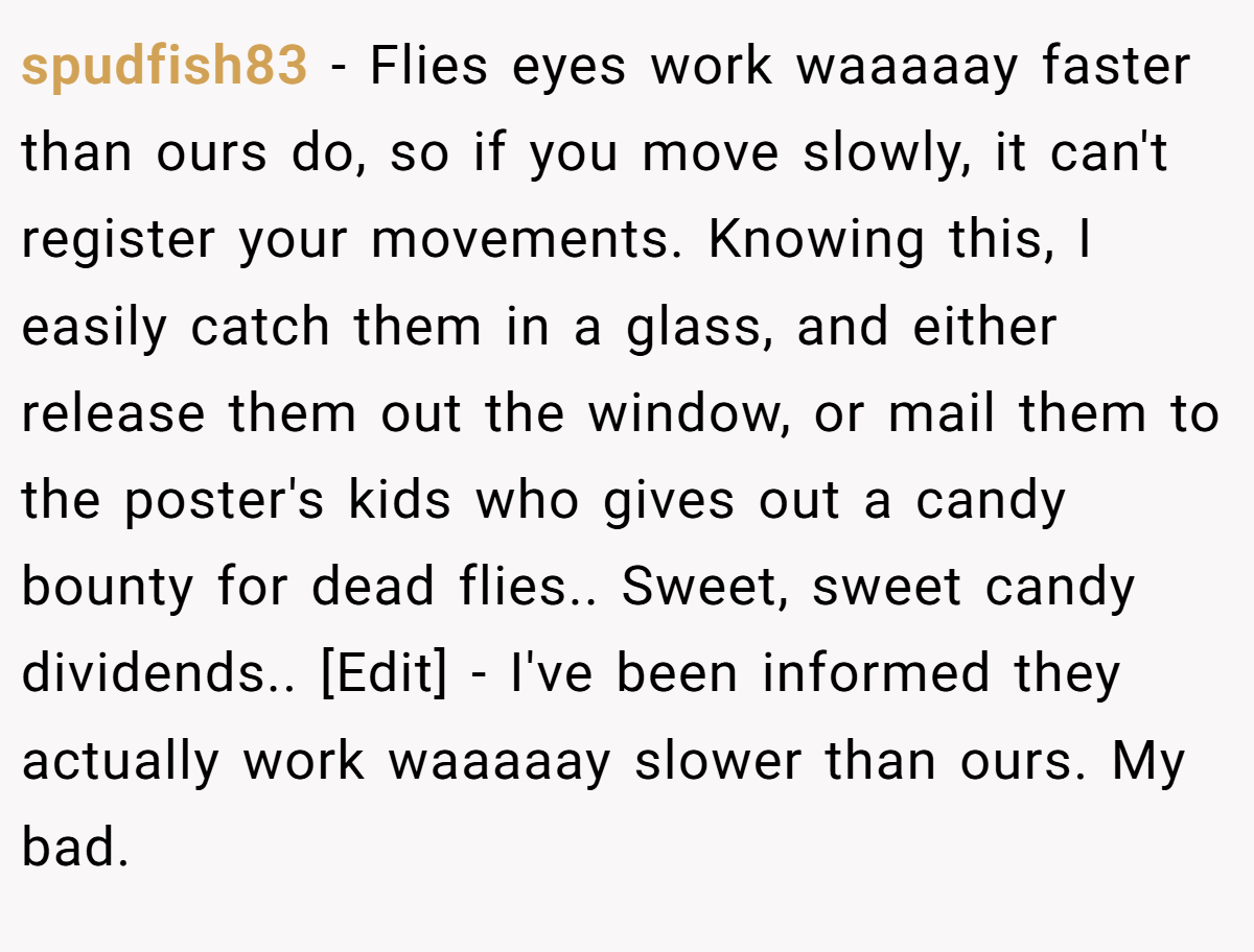 spudfish83 − Flies eyes work waaaaay faster than ours do, so if you move slowly, it can't register your movements. Knowing this, I easily catch them in a glass, and either release them out the window, or mail them to the poster's kids who gives out a candy bounty for dead flies.. Sweet, sweet candy dividends.. [Edit] - I've been informed they actually work waaaaay slower than ours. My bad.