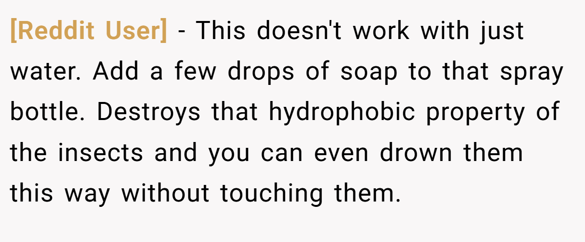 [Reddit User] − This doesn't work with just water. Add a few drops of soap to that spray bottle. Destroys that hydrophobic property of the insects and you can even drown them this way without touching them.