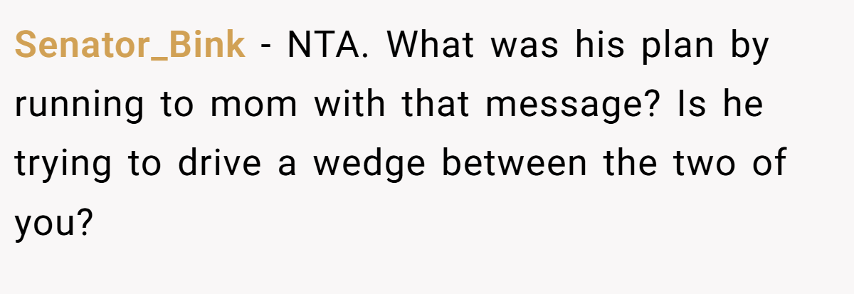 Senator_Bink − NTA. What was his plan by running to mom with that message? Is he trying to drive a wedge between the two of you?