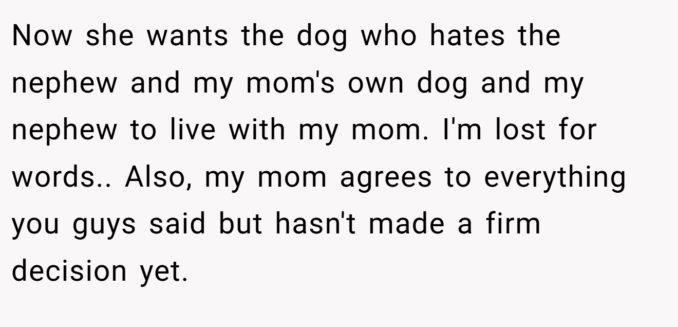 Now she wants the dog who hates the nephew and my mom's own dog and my nephew to live with my mom. I'm lost for words.. Also, my mom agrees to everything you guys said but hasn't made a firm decision yet.