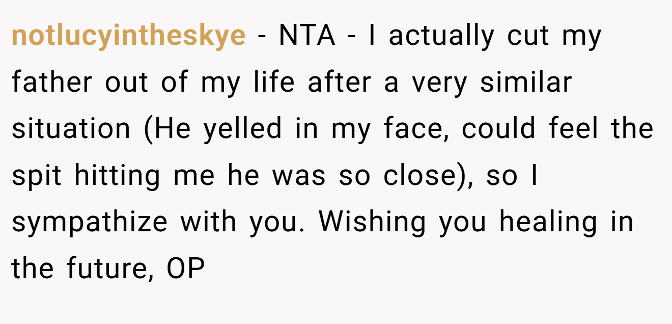 notlucyintheskye − NTA - I actually cut my father out of my life after a very similar situation (He yelled in my face, could feel the spit hitting me he was so close), so I sympathize with you. Wishing you healing in the future, OP