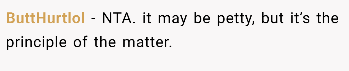 ButtHurtlol − NTA. it may be petty, but it’s the principle of the matter.