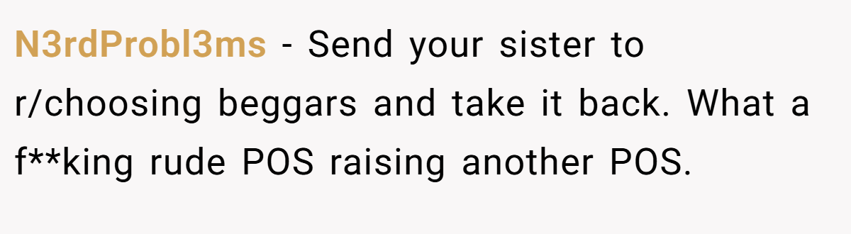 N3rdProbl3ms − Send your sister to r/choosing beggars and take it back. What a f**king rude POS raising another POS.