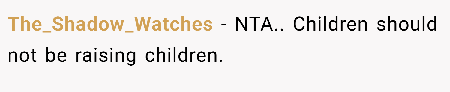 The_Shadow_Watches − NTA.. Children should not be raising children.