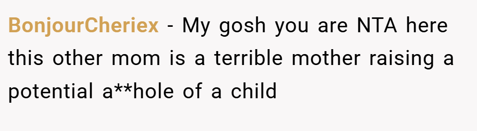 BonjourCheriex − My gosh you are NTA here this other mom is a terrible mother raising a potential a**hole of a child