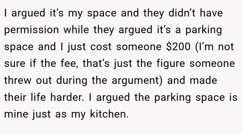 I argued it’s my space and they didn’t have permission while they argued it’s a parking space and I just cost someone $200 (I’m not sure if the fee, that’s just the figure someone threw out during the argument) and made their life harder. I argued the parking space is mine just as my kitchen.