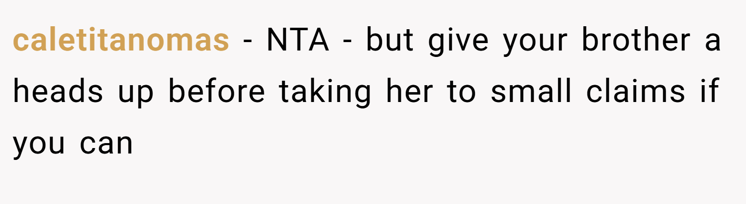 caletitanomas − NTA - but give your brother a heads up before taking her to small claims if you can