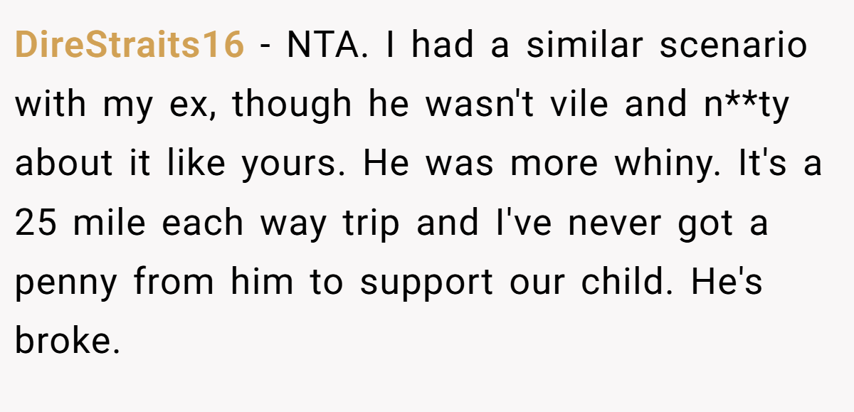 DireStraits16 − NTA. I had a similar scenario with my ex, though he wasn't vile and n**ty about it like yours. He was more whiny. It's a 25 mile each way trip and I've never got a penny from him to support our child. He's broke.
