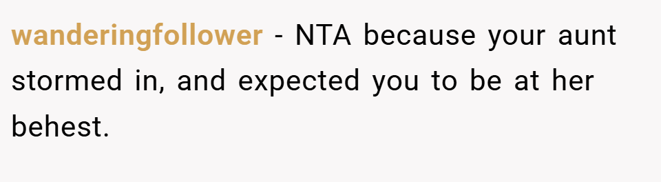 wanderingfollower − NTA because your aunt stormed in, and expected you to be at her behest.