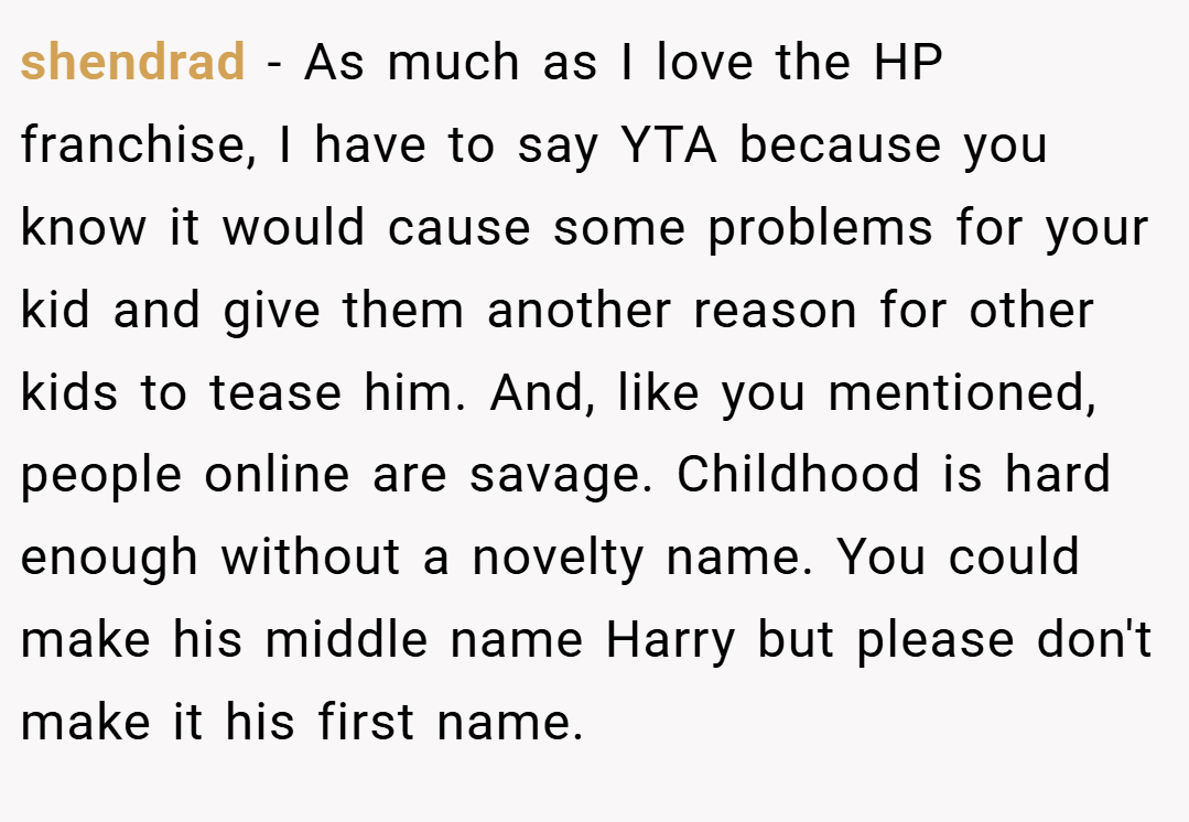 shendrad − As much as I love the HP franchise, I have to say YTA because you know it would cause some problems for your kid and give them another reason for other kids to tease him. And, like you mentioned, people online are savage. Childhood is hard enough without a novelty name. You could make his middle name Harry but please don't make it his first name.