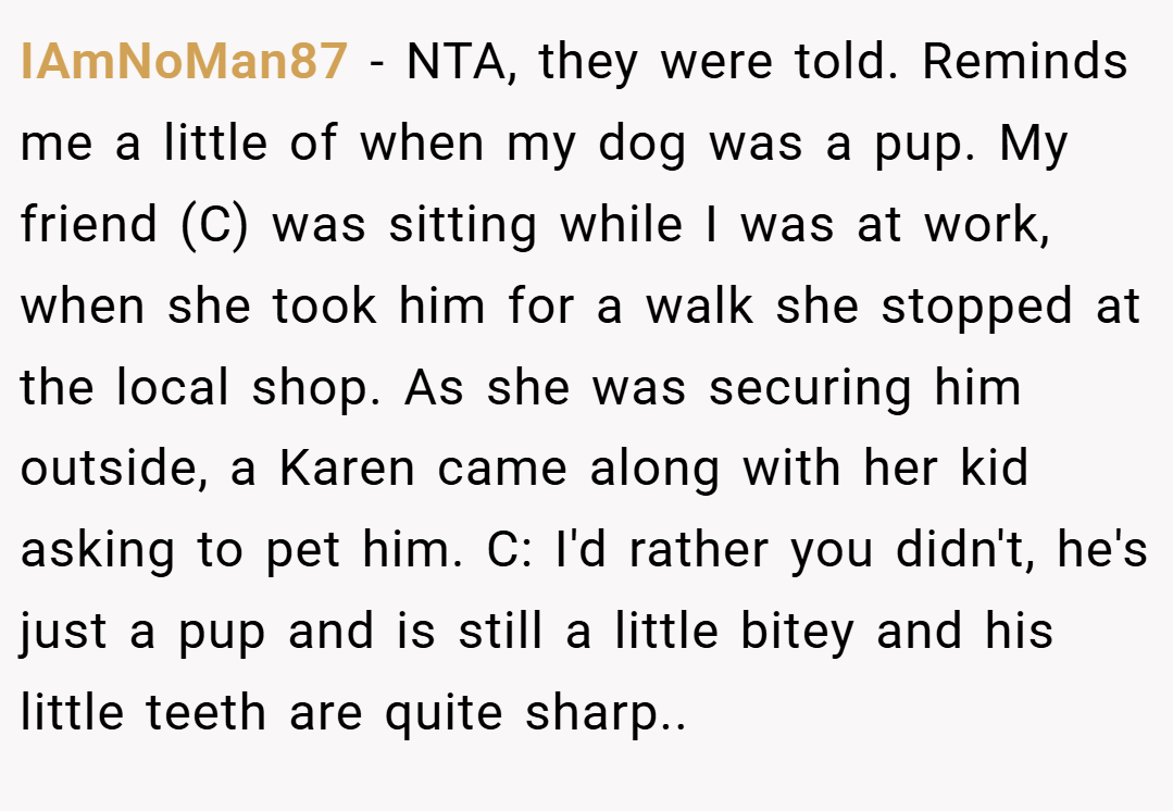 IAmNoMan87 − NTA, they were told. Reminds me a little of when my dog was a pup. My friend (C) was sitting while I was at work, when she took him for a walk she stopped at the local shop. As she was securing him outside, a Karen came along with her kid asking to pet him. C: I'd rather you didn't, he's just a pup and is still a little bitey and his little teeth are quite sharp..
