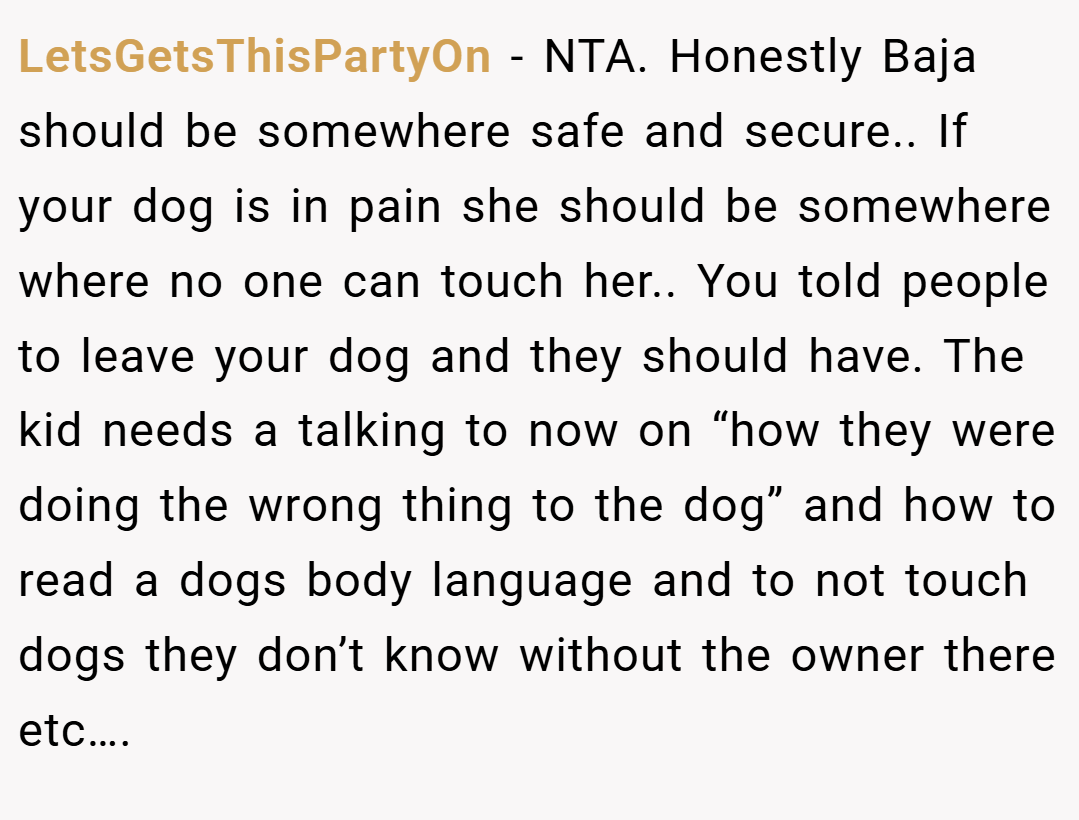 LetsGetsThisPartyOn − NTA. Honestly Baja should be somewhere safe and secure.. If your dog is in pain she should be somewhere where no one can touch her.. You told people to leave your dog and they should have. The kid needs a talking to now on “how they were doing the wrong thing to the dog” and how to read a dogs body language and to not touch dogs they don’t know without the owner there etc….