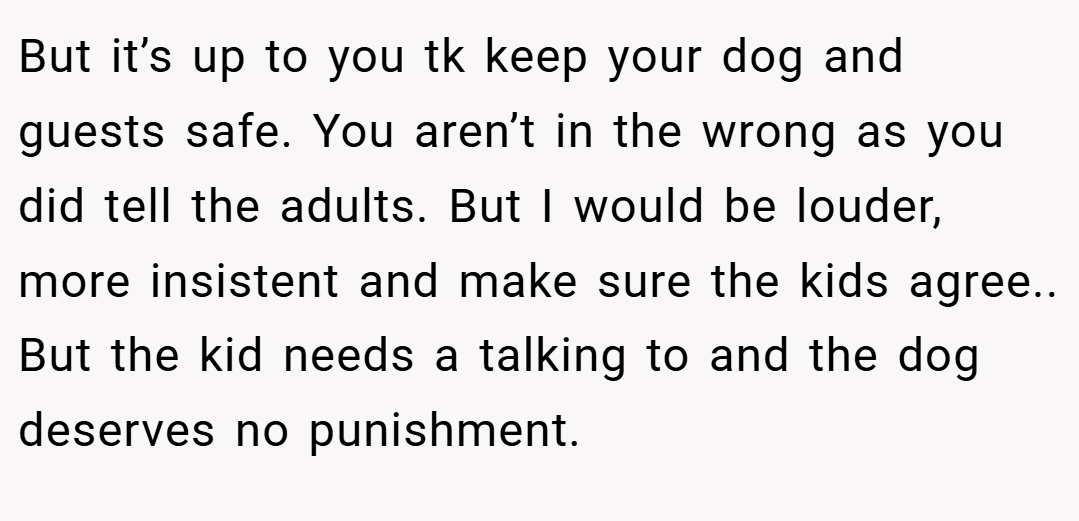 But it’s up to you tk keep your dog and guests safe. You aren’t in the wrong as you did tell the adults. But I would be louder, more insistent and make sure the kids agree.. But the kid needs a talking to and the dog deserves no punishment.
