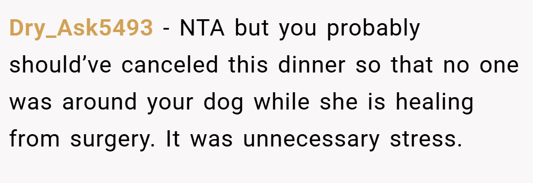 Dry_Ask5493 − NTA but you probably should’ve canceled this dinner so that no one was around your dog while she is healing from surgery. It was unnecessary stress.