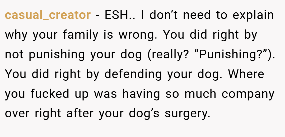 casual_creator − ESH.. I don’t need to explain why your family is wrong. You did right by not punishing your dog (really? “Punishing?”). You did right by defending your dog. Where you fucked up was having so much company over right after your dog’s surgery.