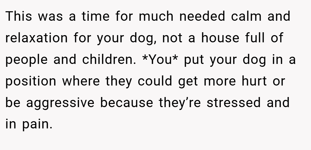 This was a time for much needed calm and relaxation for your dog, not a house full of people and children. *You* put your dog in a position where they could get more hurt or be aggressive because they’re stressed and in pain.