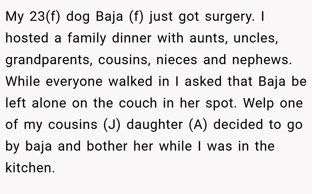 My 23(f) dog Baja (f) just got surgery. I hosted a family dinner with aunts, uncles, grandparents, cousins, nieces and nephews. While everyone walked in I asked that Baja be left alone on the couch in her spot. Welp one of my cousins (J) daughter (A) decided to go by baja and bother her while I was in the kitchen.