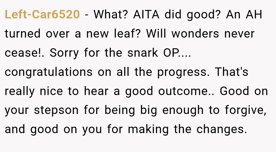 Left-Car6520 − What? AITA did good? An AH turned over a new leaf? Will wonders never cease!. Sorry for the snark OP.... congratulations on all the progress. That's really nice to hear a good outcome.. Good on your stepson for being big enough to forgive, and good on you for making the changes.