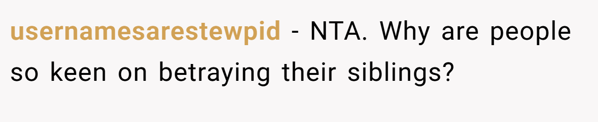 usernamesarestewpid − NTA. Why are people so keen on betraying their siblings?