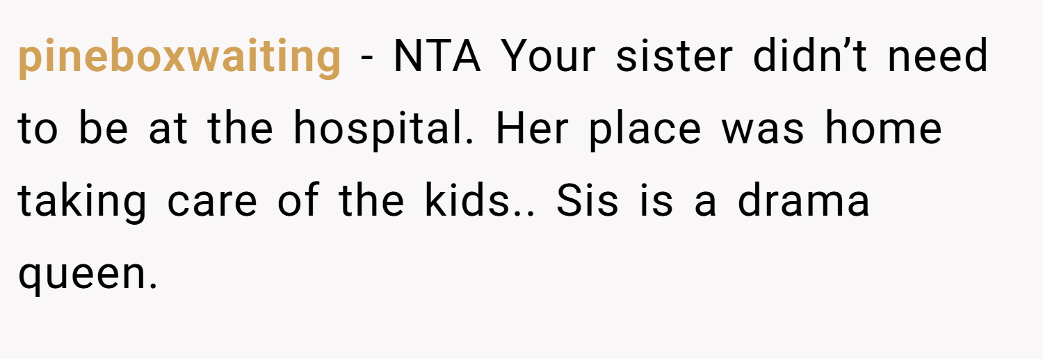 pineboxwaiting − NTA Your sister didn’t need to be at the hospital. Her place was home taking care of the kids.. Sis is a drama queen.